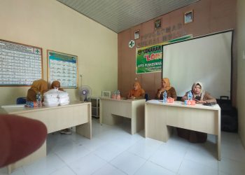 SPM Untuk Memastikan Pelayanan Kesehatan Optimal